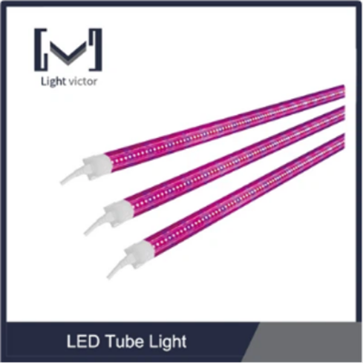 LED T8 เติบโตแสง